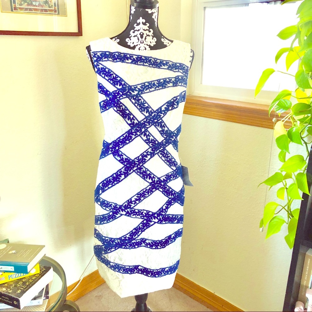 Tadashi Shoji Blue and White Bandage Lace, Size 12